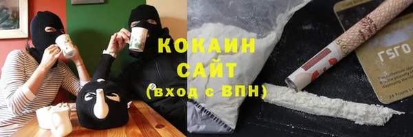 PSILOCYBIN Богородицк