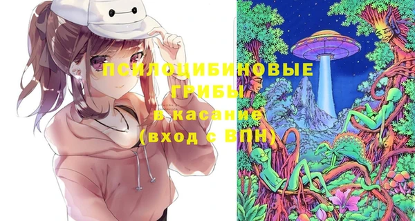 PSILOCYBIN Богородицк