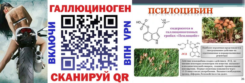 Псилоцибиновые грибы мицелий где купить Волжский